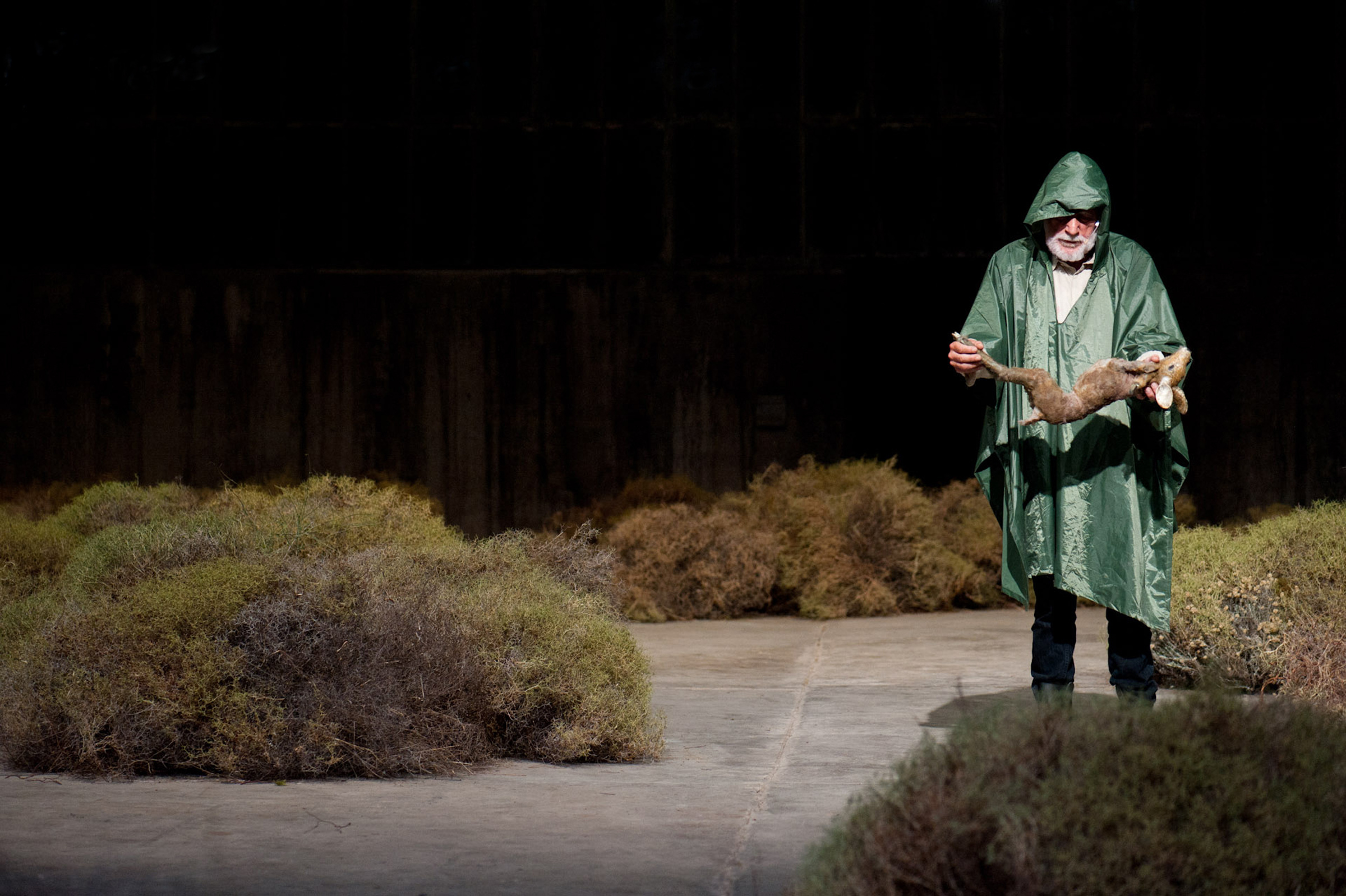 DON QUIXOTE - flux-office