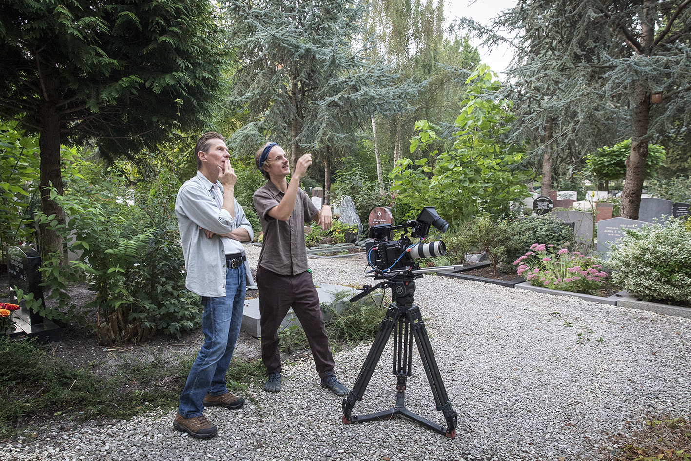 De Wilde Stad - www.dmolfotografie.nl