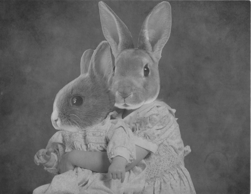 Hannah Rabbit Digital Collage - larabirkbeck