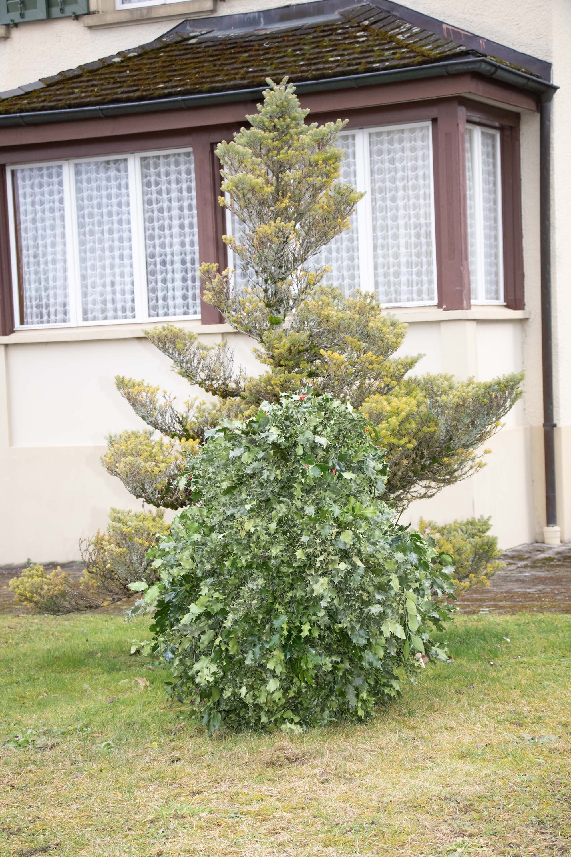 BÄRZELI WILD TRADITIONS