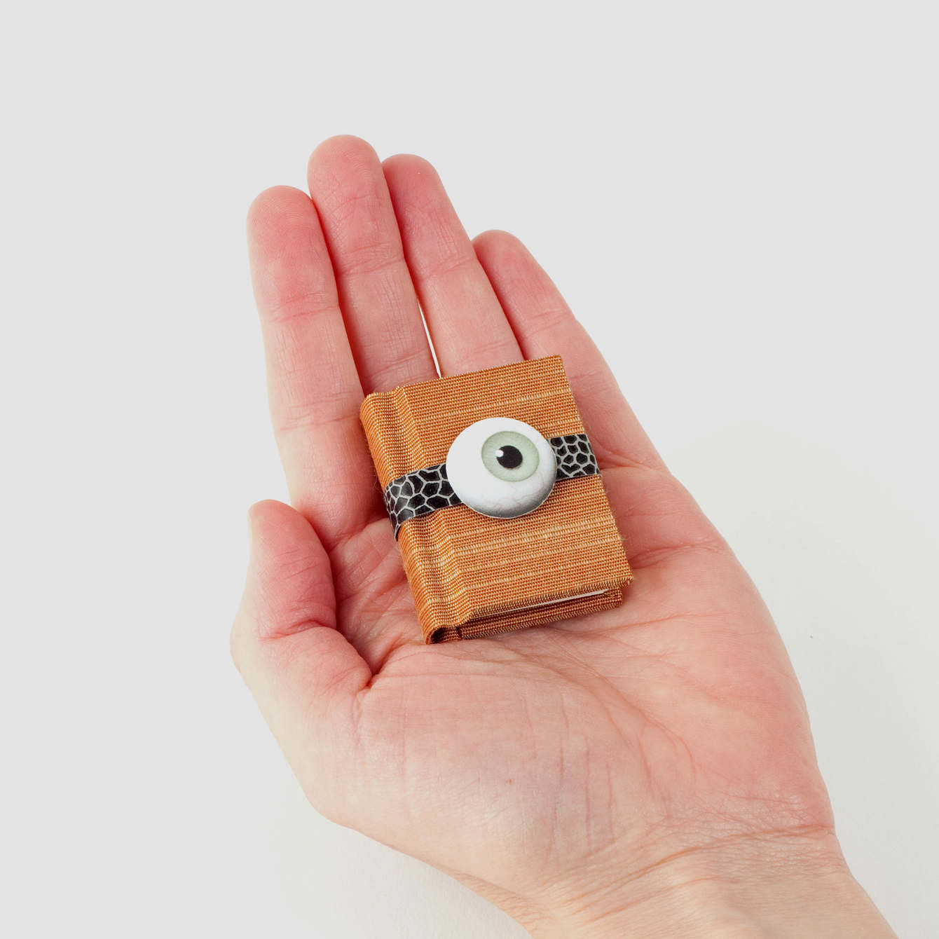 Your New Glass Eye Bartlett Books