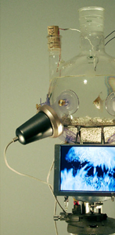 Soundpump ID+IM Design Lab.