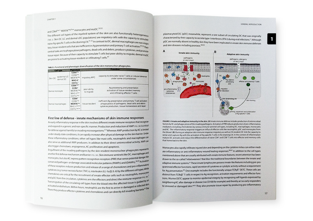 How to write a thesis statement image