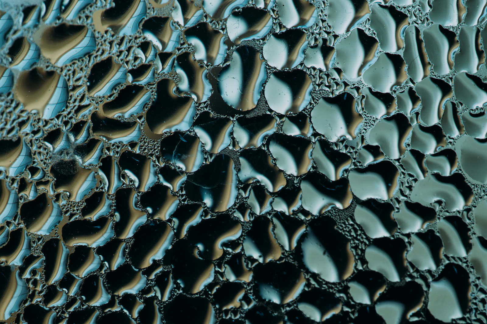 Überlegene 19+ Küchenideenzentrum / Kuchen Wikipedia