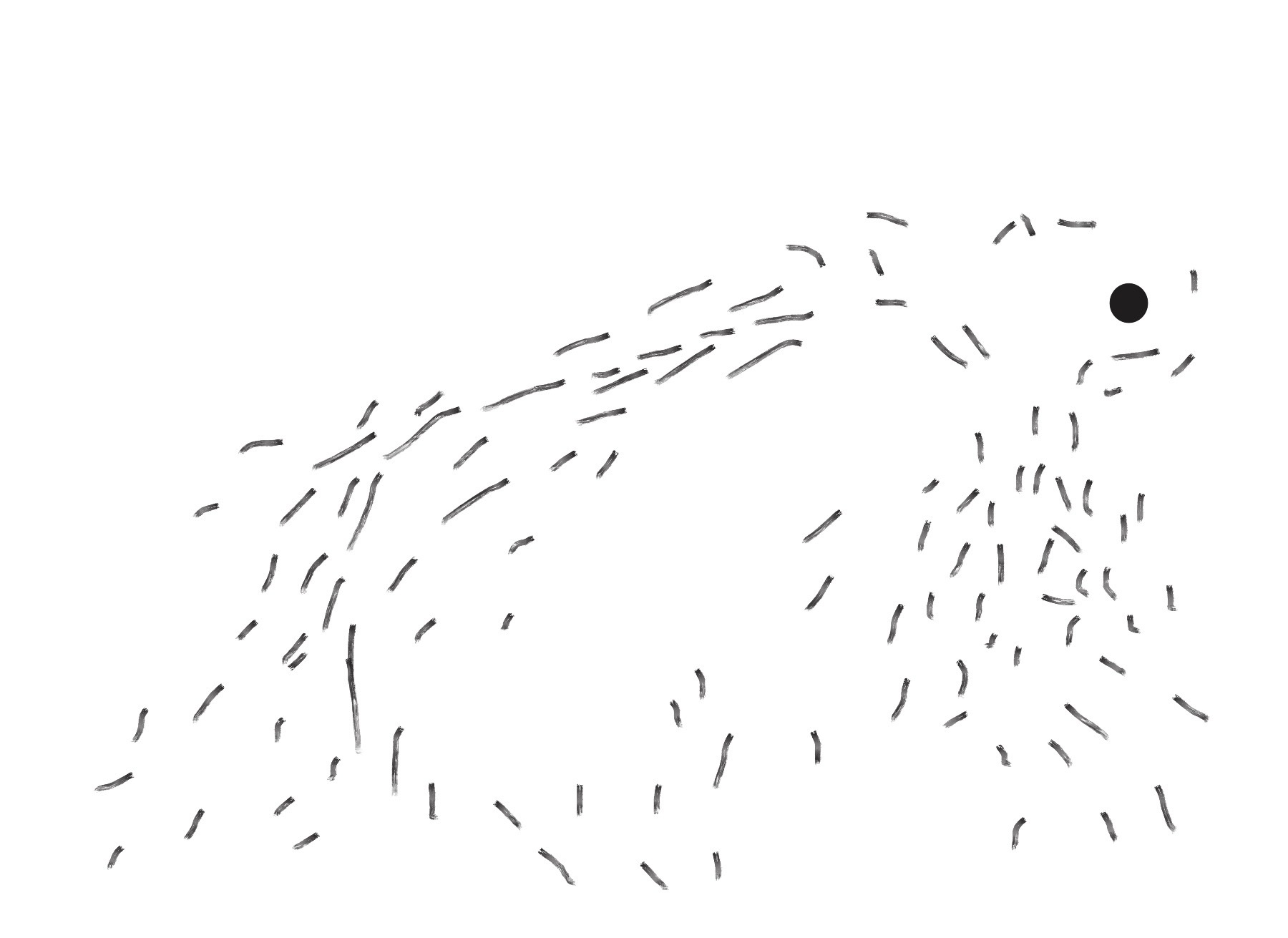 ANIMALS : DRAWING - Veronyka Jelinek illustrator, animator and designer