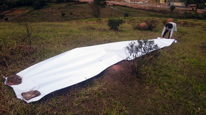 (des)enrolar | 2016 - Fabíola S. Tasca