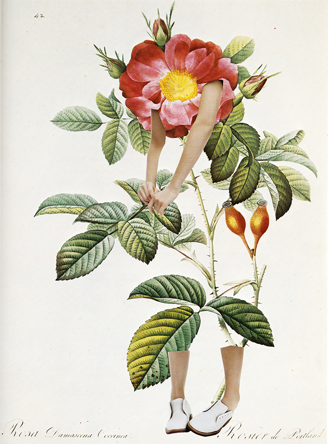 Body + Flower - Maggie Zhuohui Cai