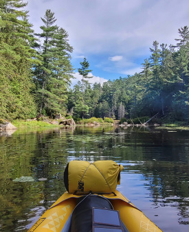 Lost Landscape H Lalo