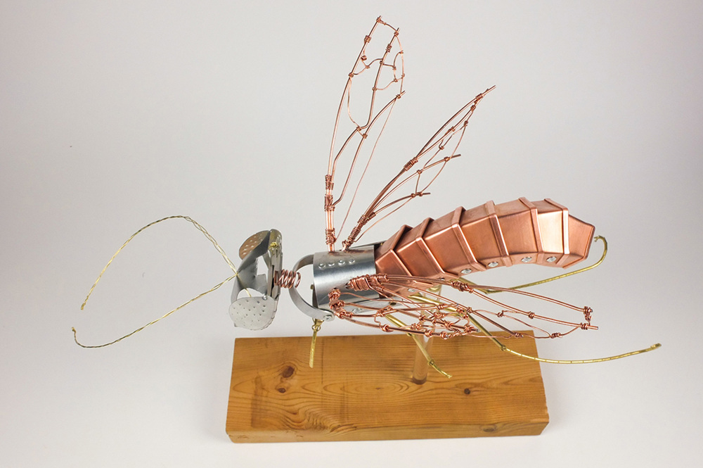 Jerry Ding The Wasp - Jerry Ding