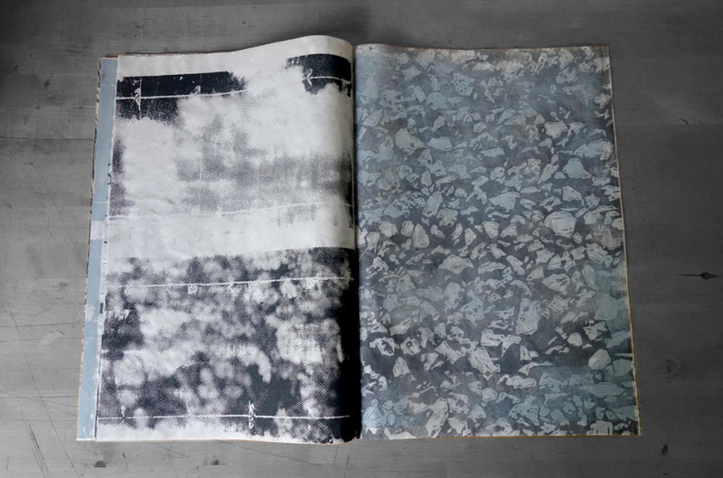 Le corps du monde (chutes et liasses) Marie Bonnin