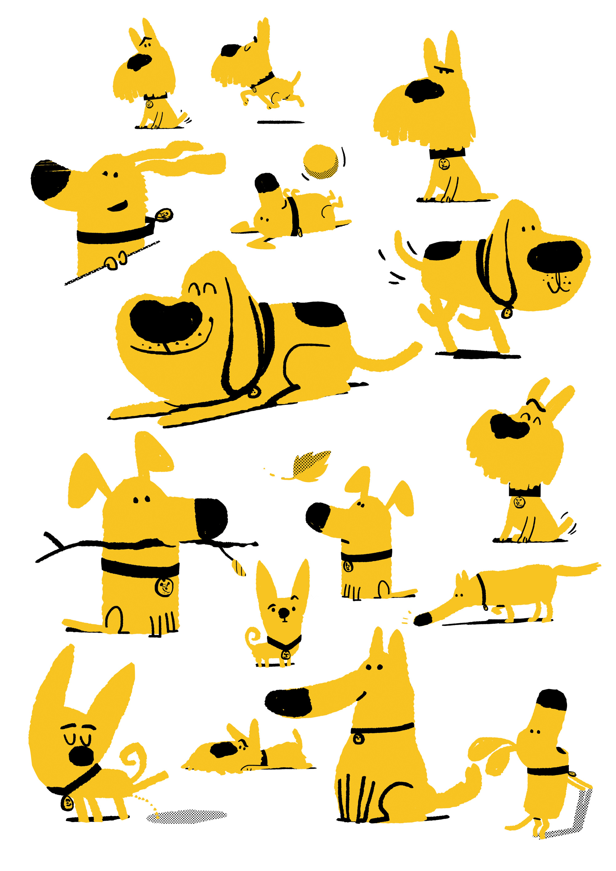 How is the Dogs Trust brand identity evolving?
