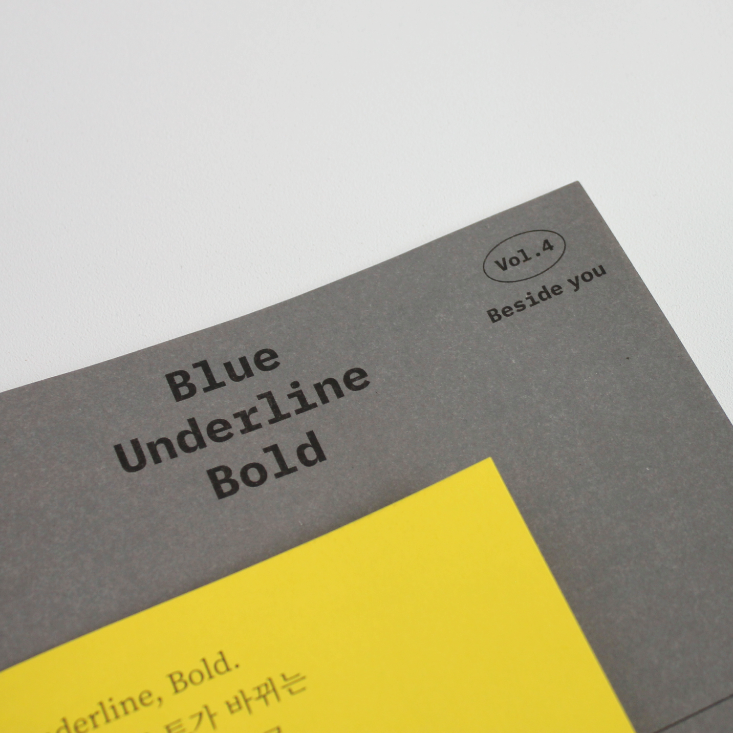 〈Blue, Underline, Bold〉 표지 시스템 이응셋