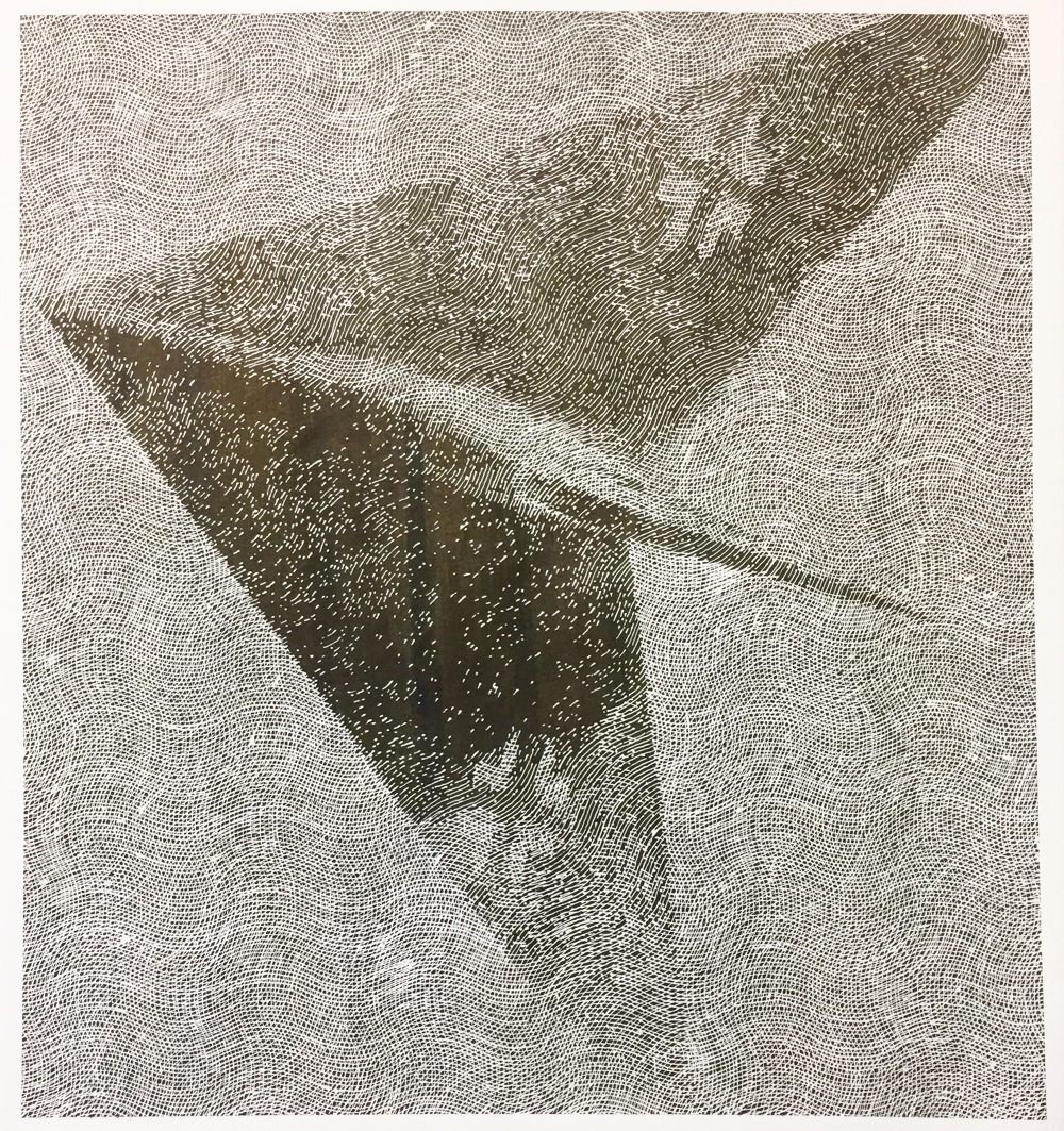 Lippisch Delta Wing - Hugo Nakashima-Brown