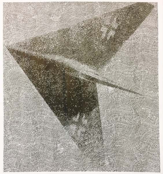 Lippisch Delta Wing - Hugo Nakashima-Brown
