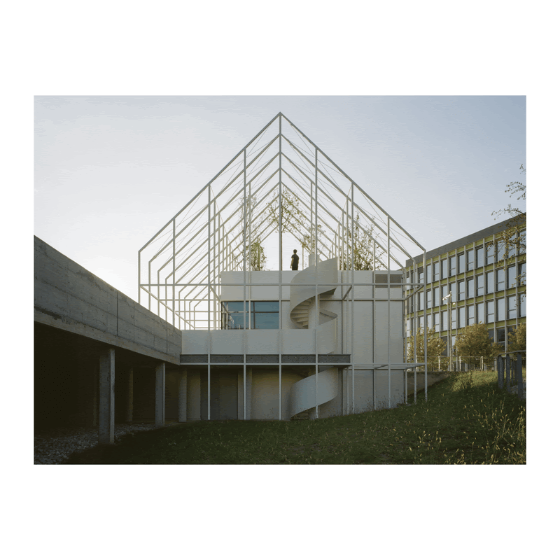 + SEGREEN fabiofigaroli