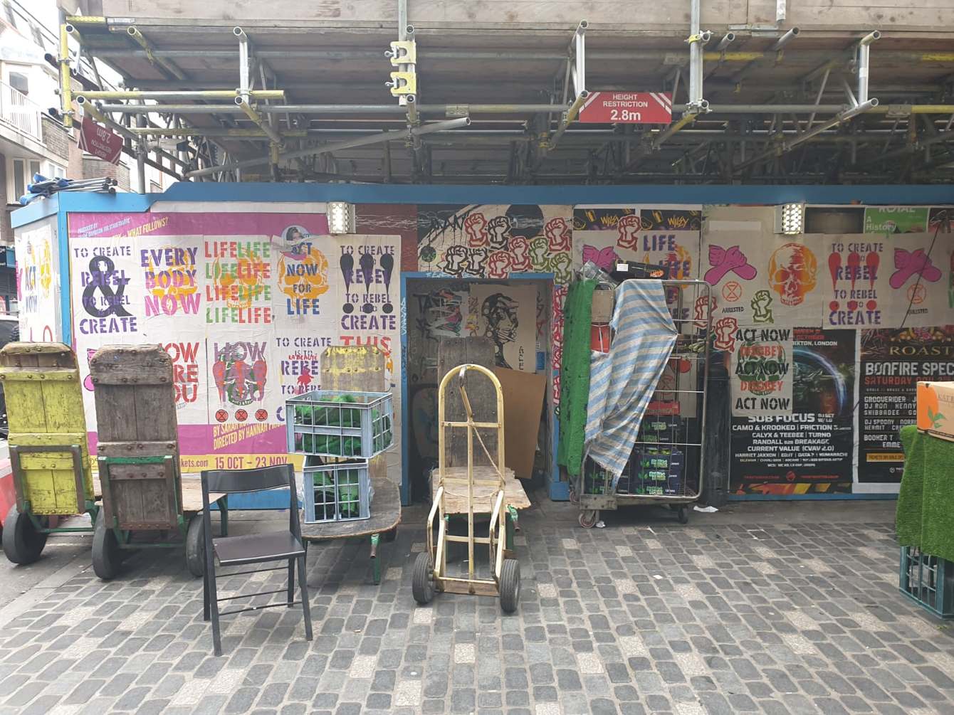 Extinction rebellion boston picture