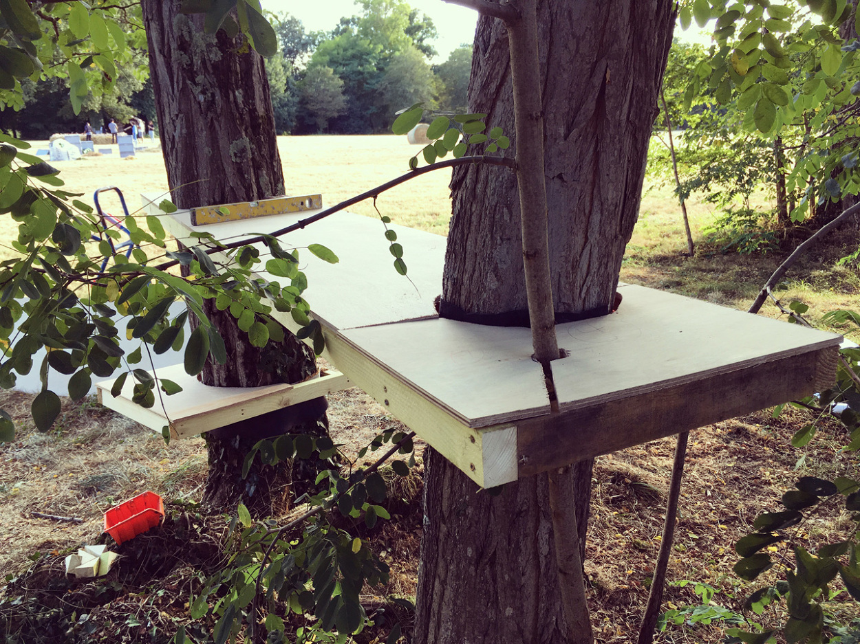 Trees Furniture KaiPing Liu