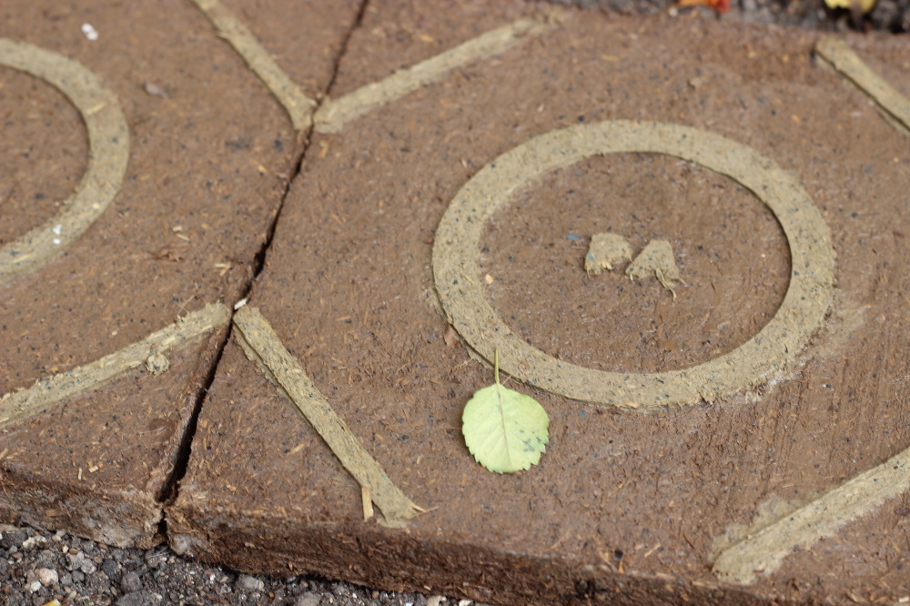 sprouting soil tiles Shahar Kedem