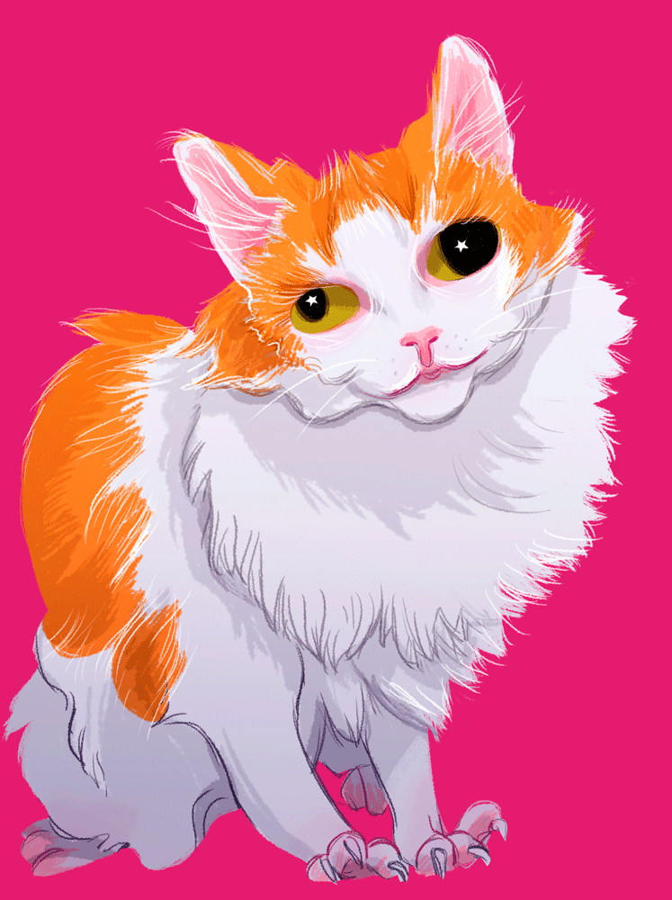 Animated cat Sweet and Sour Illustrations by Irina Shi
