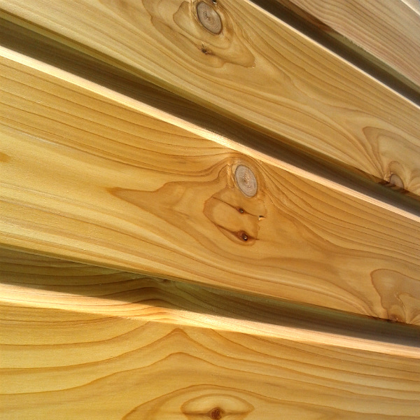 Building a Shed in London - Marion Abel