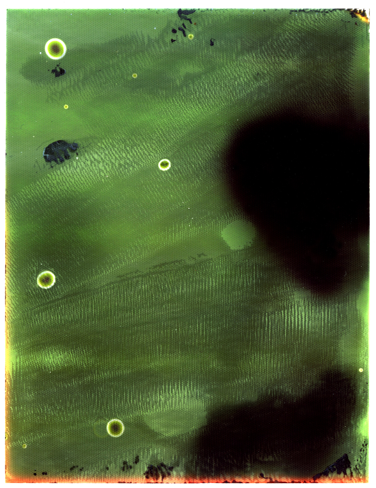 Photographic Accident Daisy May Smith