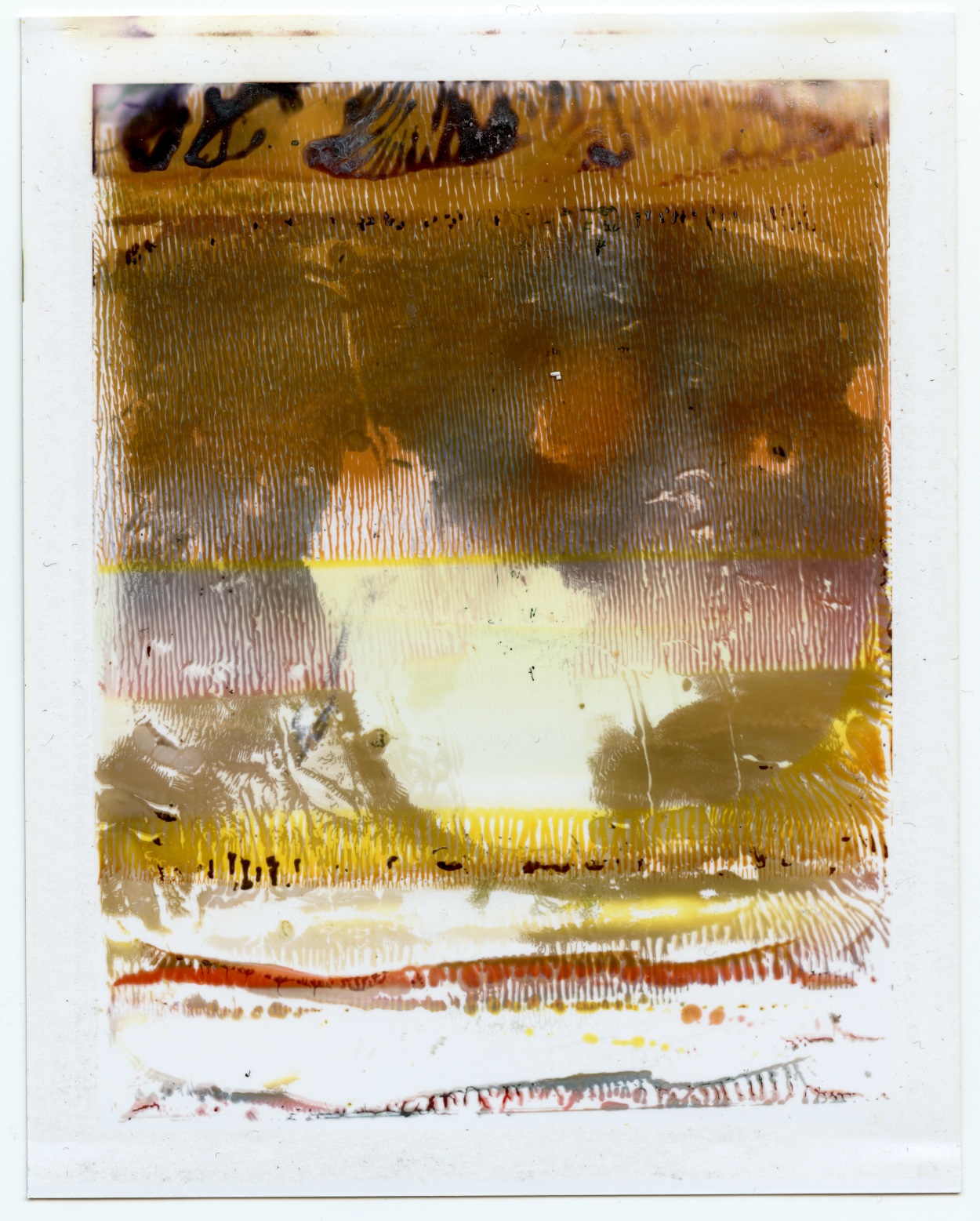 Photographic Accident Daisy May Smith