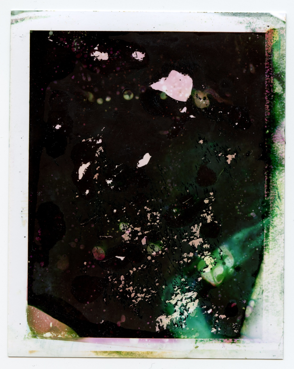 Photographic Accident Daisy May Smith