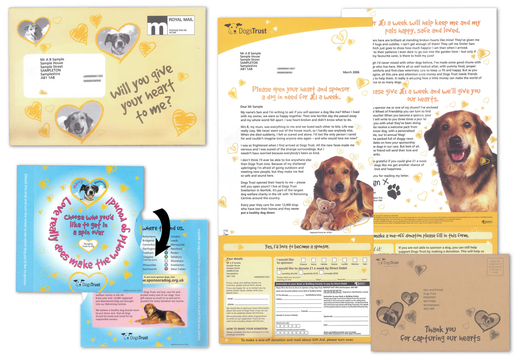 working for dogs trust