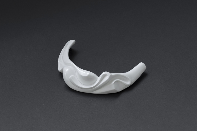 Ceramic Skin - Christopher Riggio