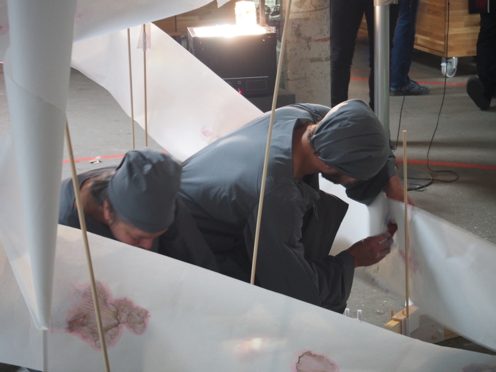 Site Specific Performances - Studio Angus Hardwick