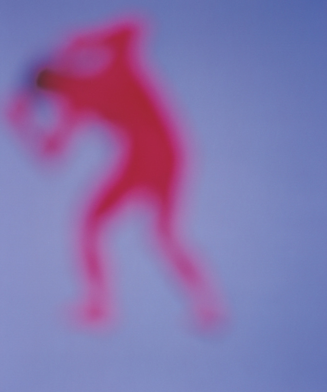 renaissance 2 Bill Armstrong Photography