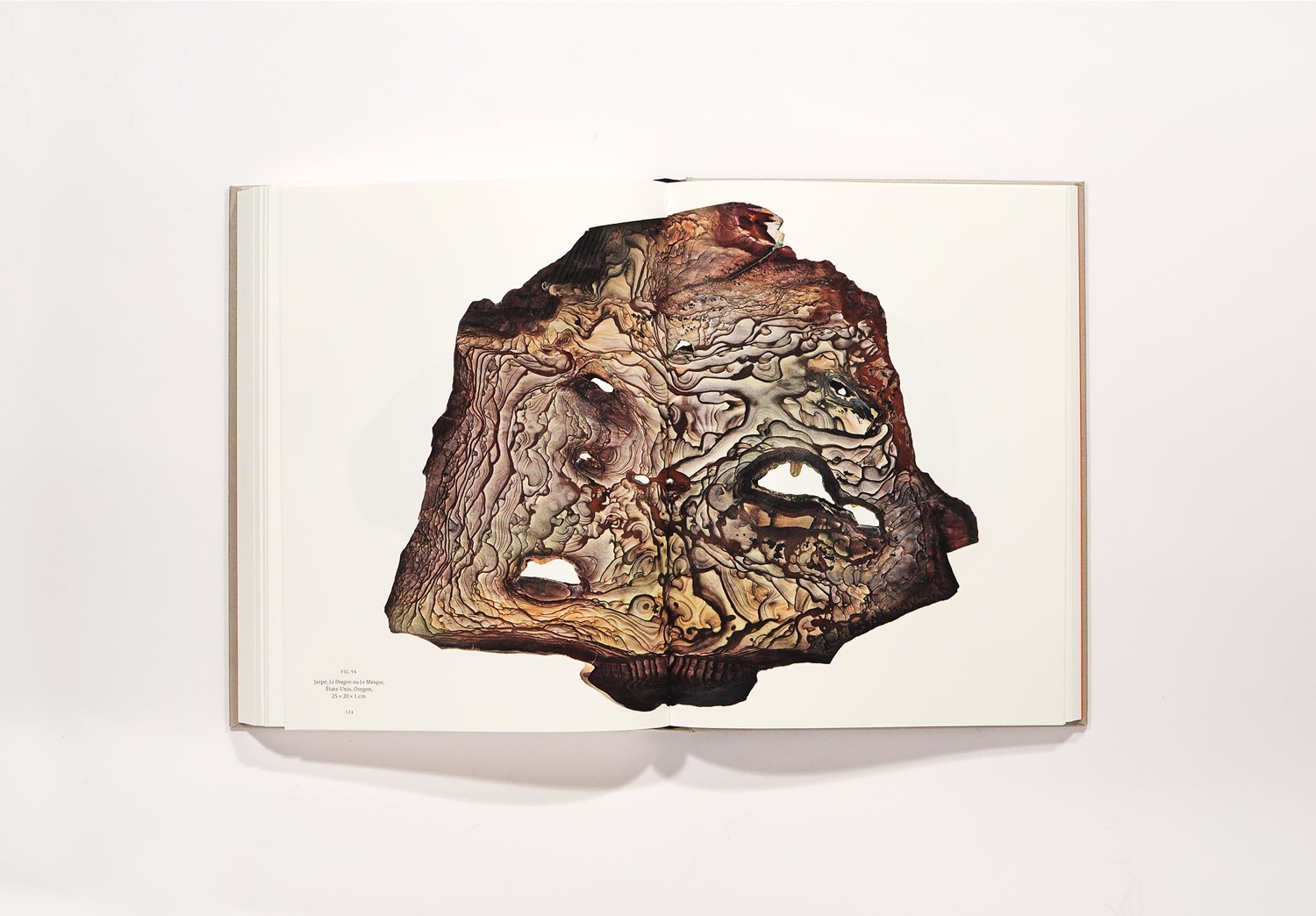 Roger Caillois colineaguettaz