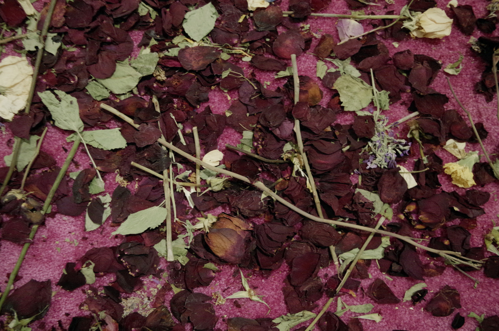 Beautiful, Beautiful, Beautiful Rose! Amy Beecher