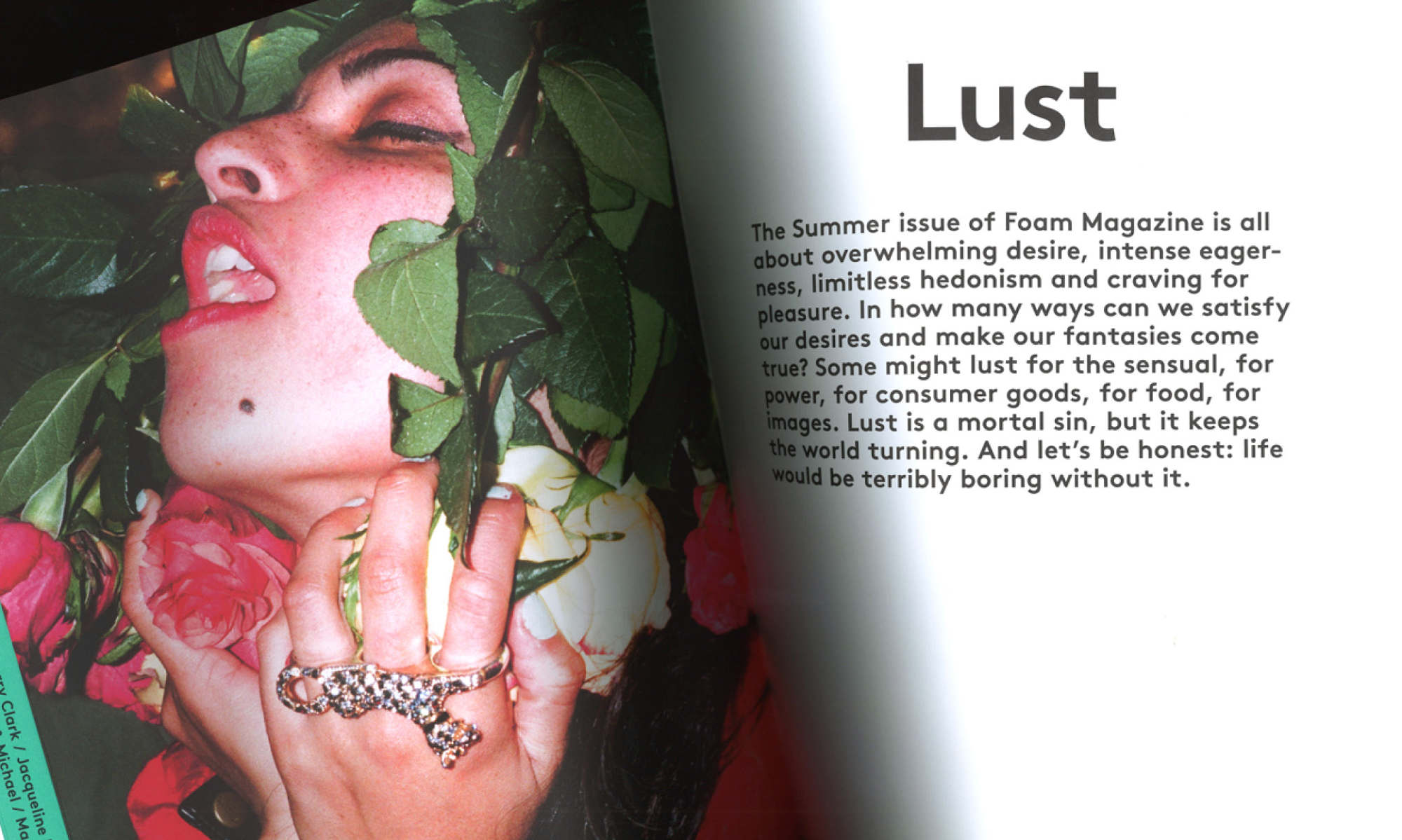 A Year of Foam - Résonance Visuelle