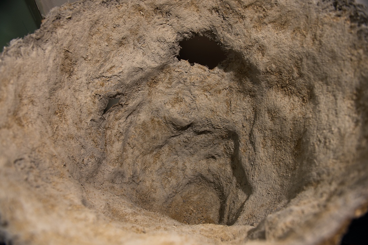 HOLE. - female convict