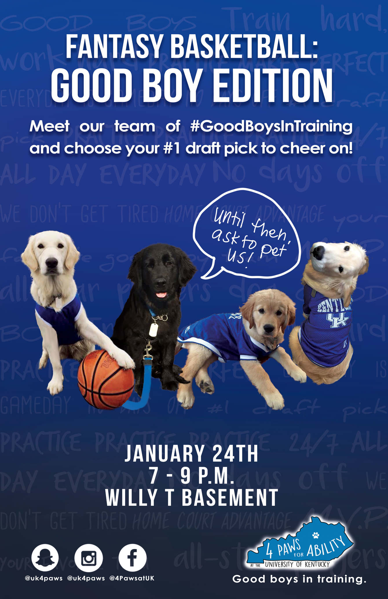 all 4 paws dog training