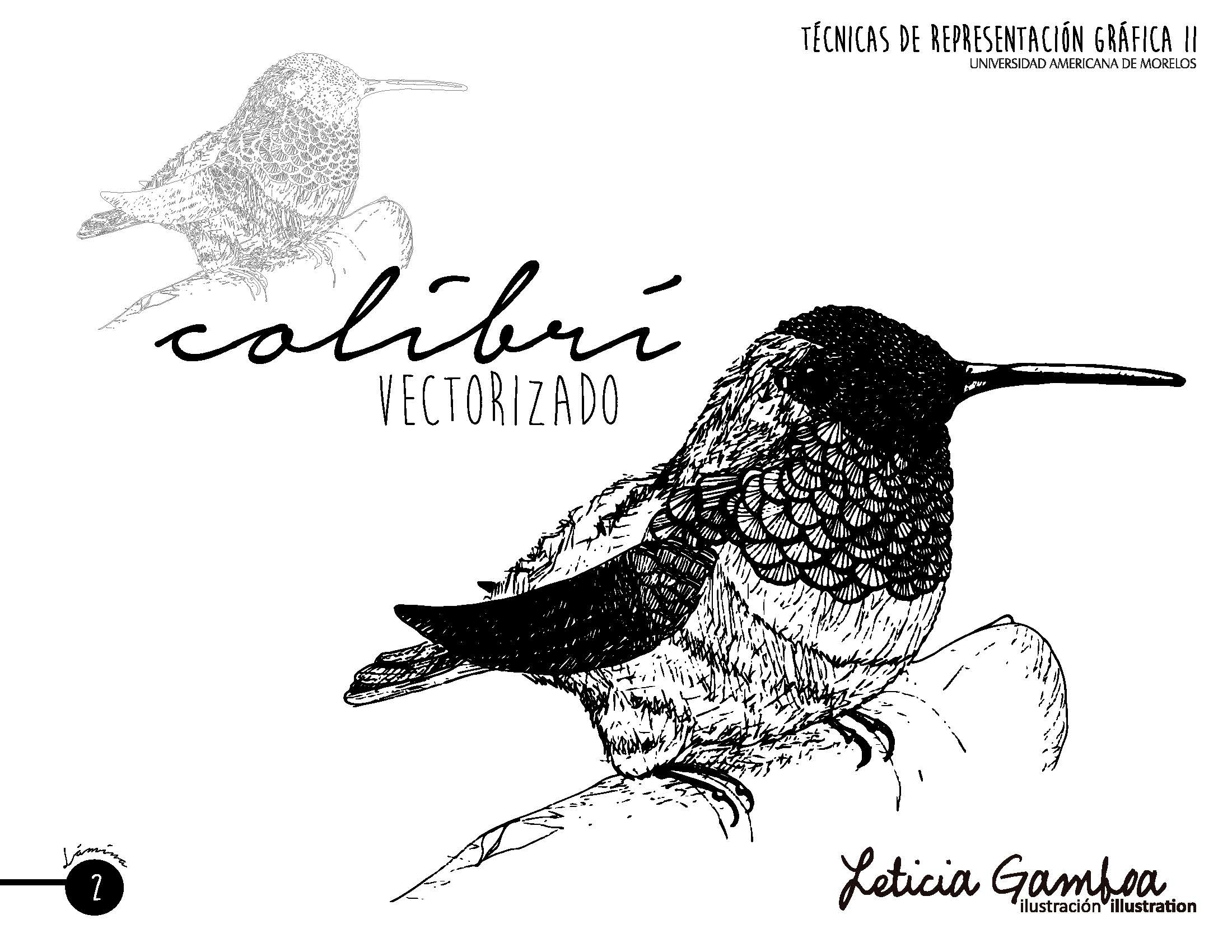 El Colibri Leticia Gamboa