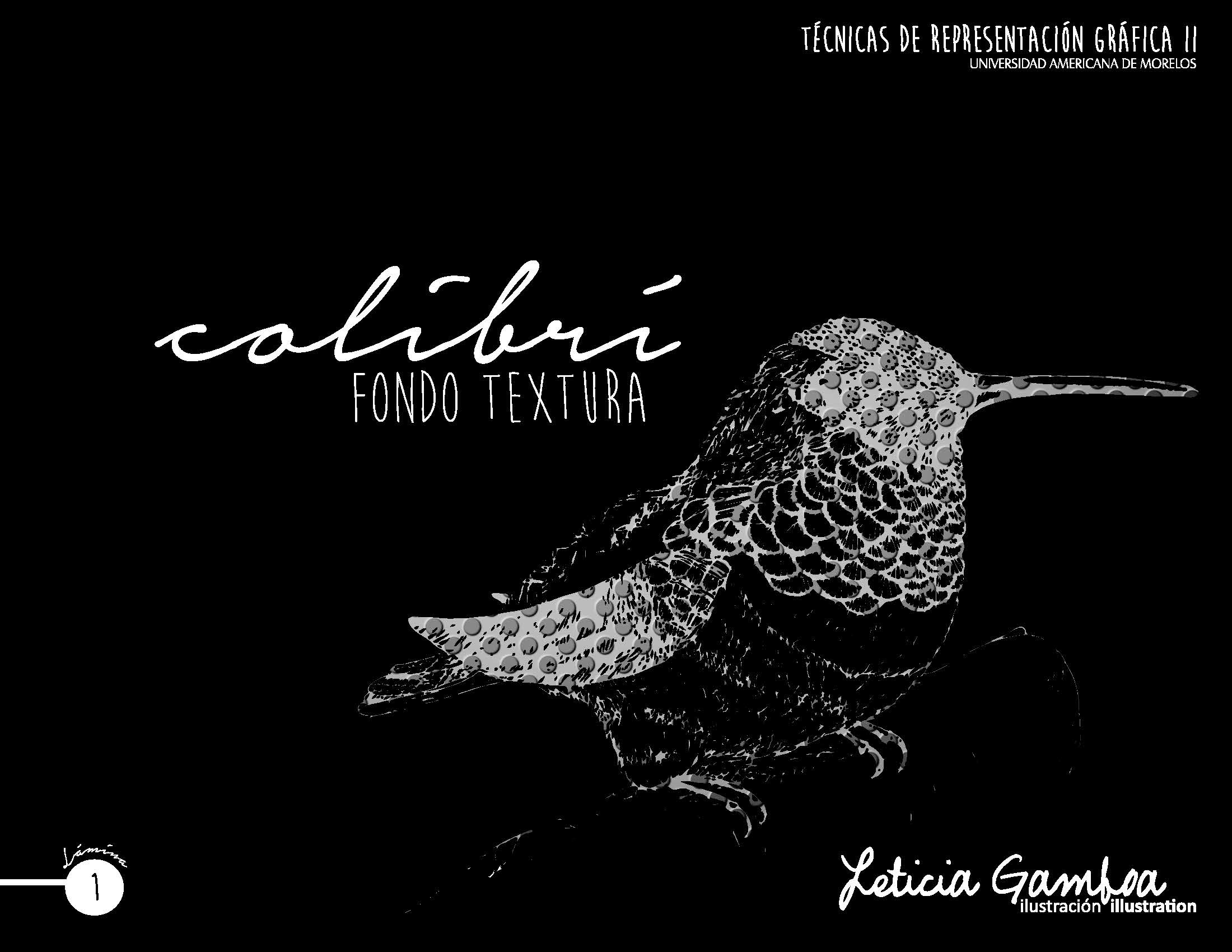 El Colibri Leticia Gamboa
