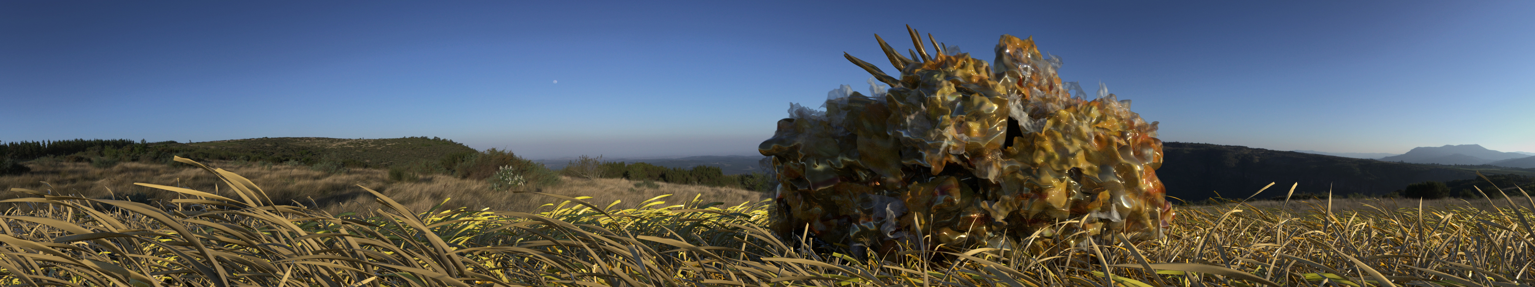 Tempura House James Jiang