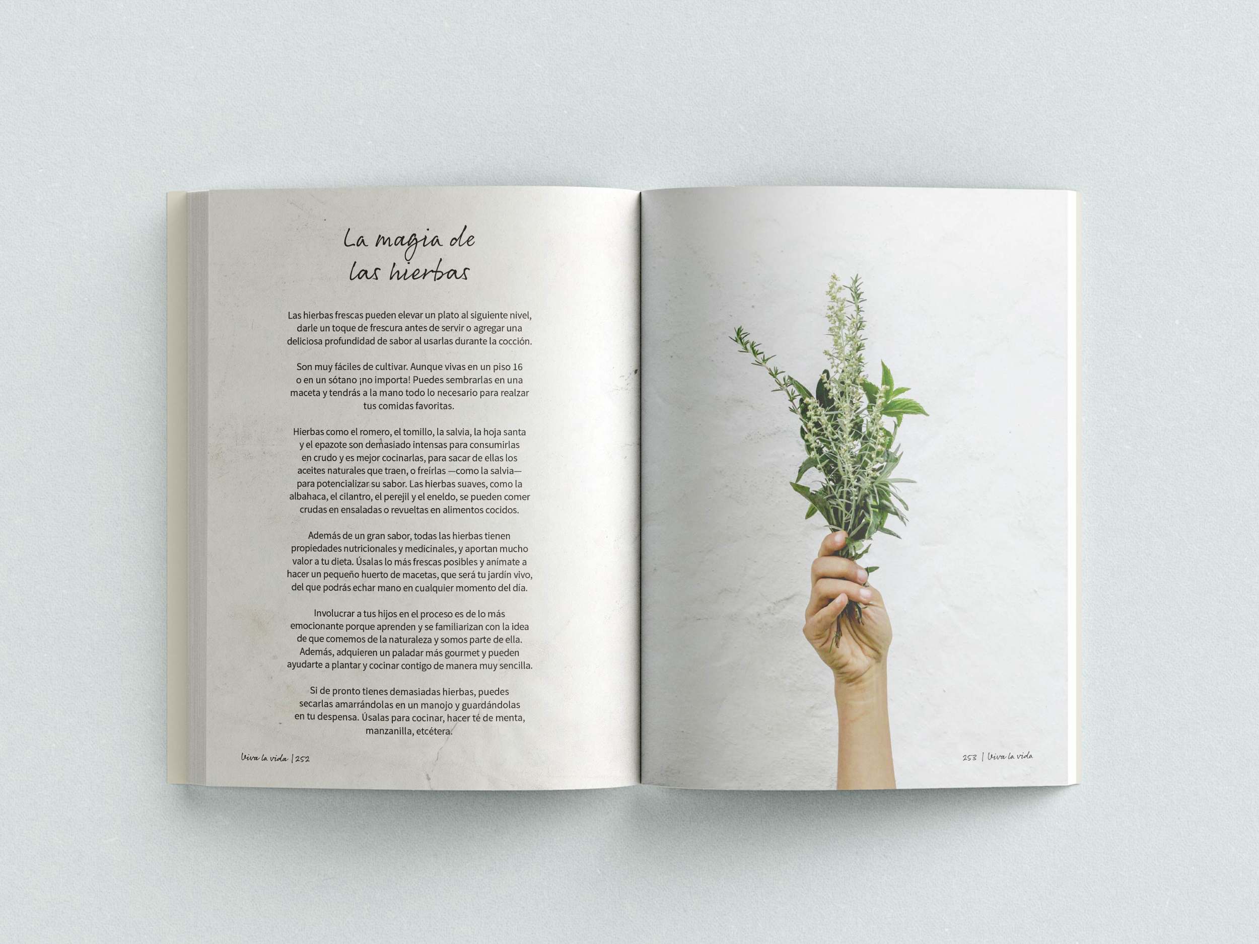 Viva La Vida E Ai e ai