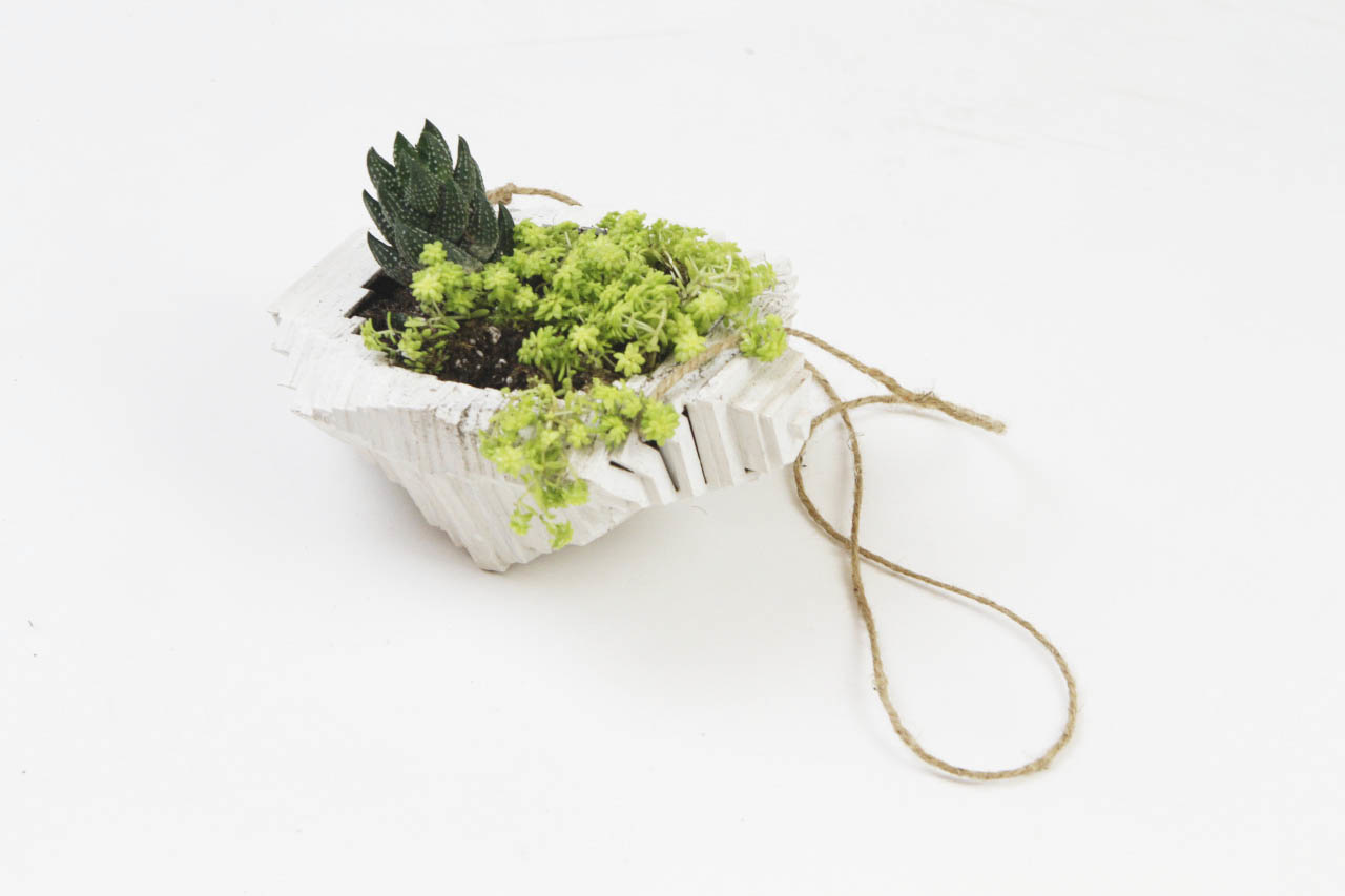 Cloud Terrarium Emily Kang