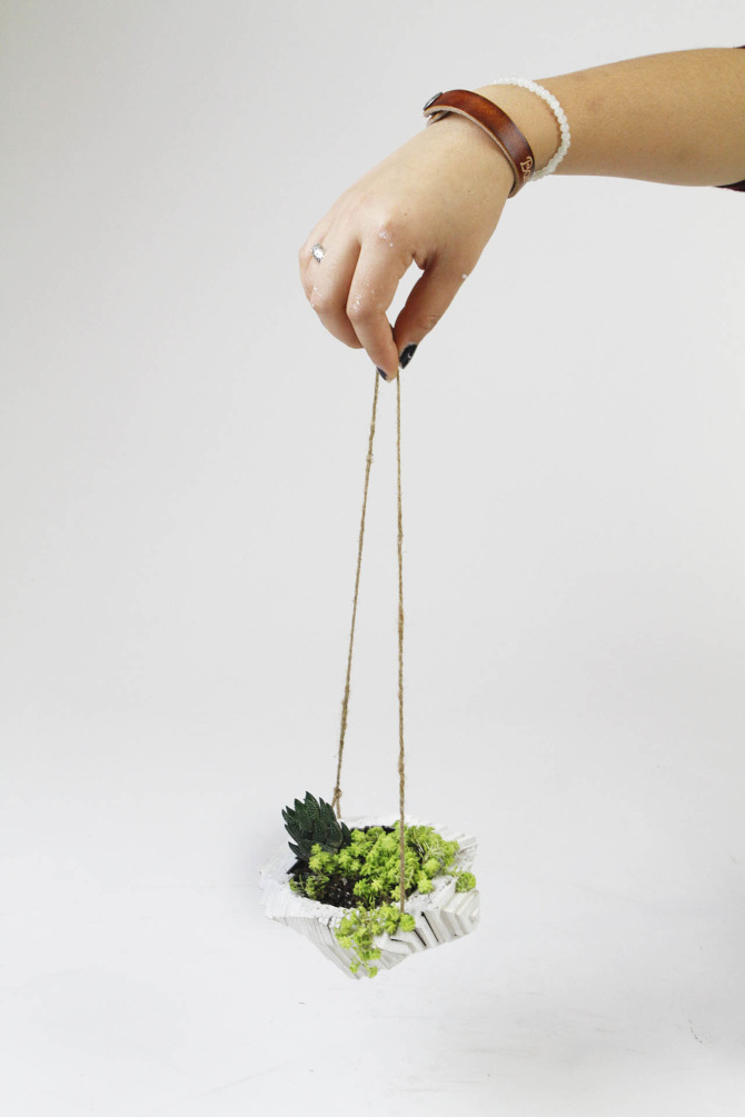 Cloud Terrarium Emily Kang