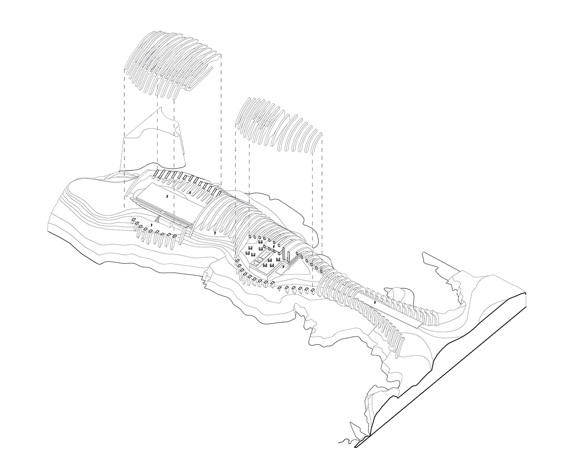 Whale Sara Camponez whale-sara-camponez