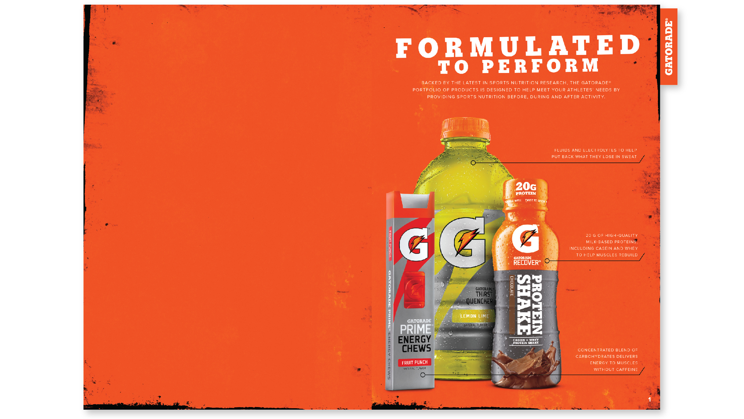 GATORADE CATALOG kncklhd co