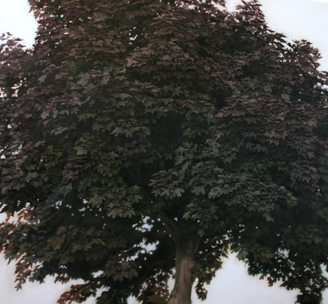 Black Maple 2 Melissa Doherty