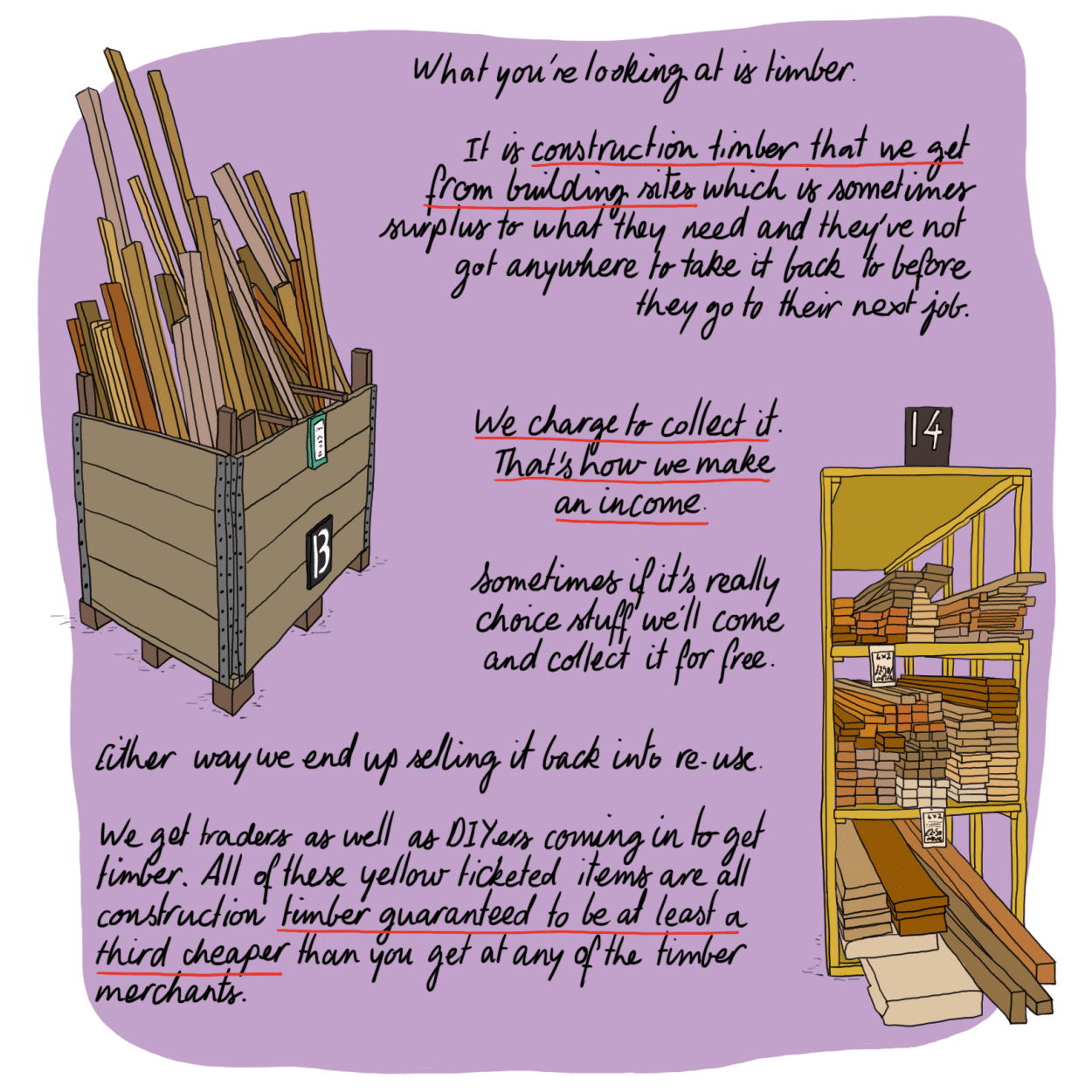 The Wood Store portrait - Claire Rollet illustrator