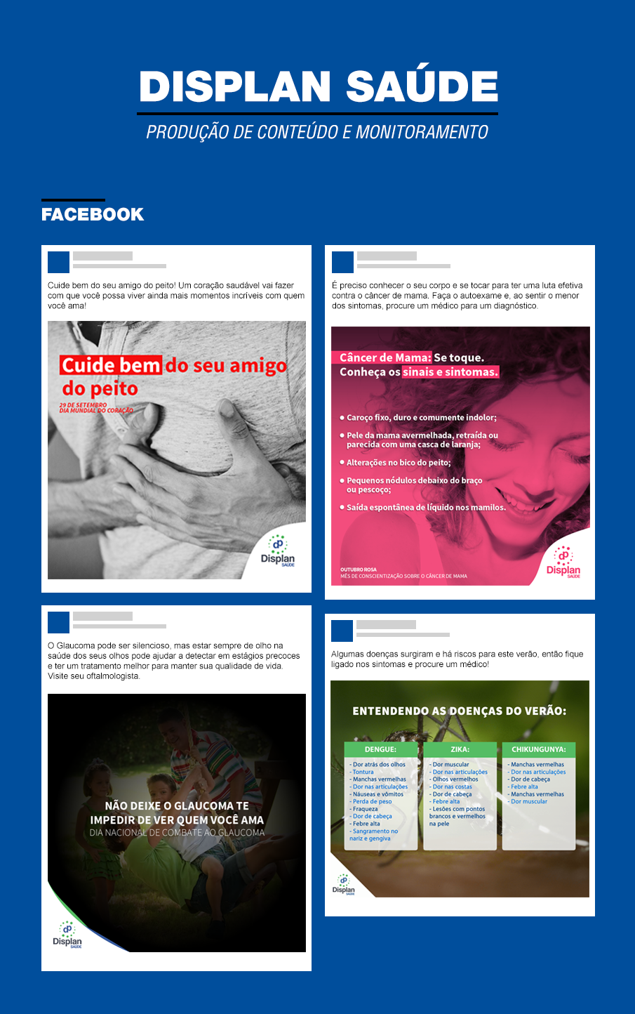 Displan Mercurios Agência Digital - Portfólio de Wilton Leal