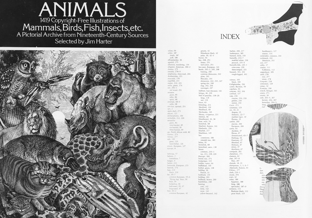 Visual Matches graciaecheverria