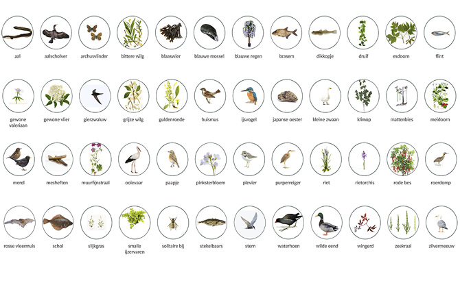 Natuur met een Adres - Rémon Mulder