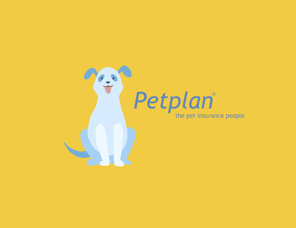 Petplan Campaign Mari Larsen